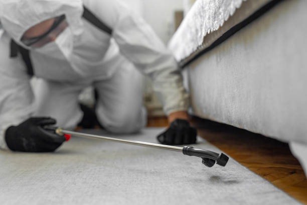 Professional Pest Control technician working in Sheldon, TX